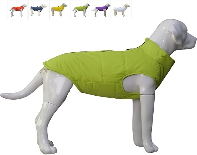 PetSafe Winter Vest with Cotton Lining, Waterproof Ultra Warm Dog Coat, Windproof Zippered Jacket, Breathable Soft Coat for Small, Medium, Large Dogs - Green