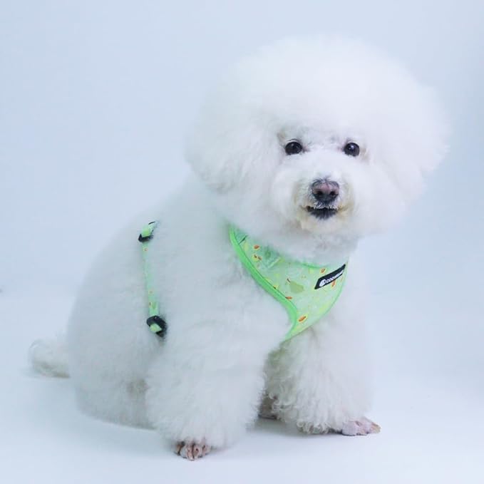 Dog Harness and Leash Set, Adjustable Dog Harness, Dog Leash, No Pull No Choke Puppy Harnesses for Walking Training for Small, Medium, Large Pet