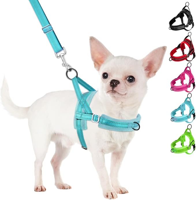SlowTon No Pull Small Dog Harness and Leash Set, Puppy Soft Vest Harness Neck & Chest Adjustable, Reflective Lightweight Harness & Anti-Twist Pet Lead Combo for Small Medium Dogs(BL-Front Clip,S)