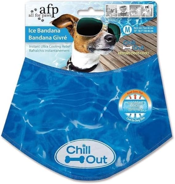 ALL FOR PAWS Chill Out Ice Bandana, Small