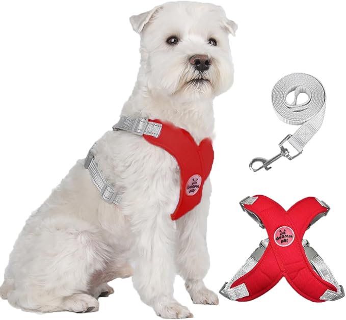 FEimaX Dog Harness Pet X Frame No Pull Step-in Harnesses with Leash Set, Adjustable Reflective Choke Free Puppy with Padded Vest for Small, Medium Dogs and Cats Walking Training
