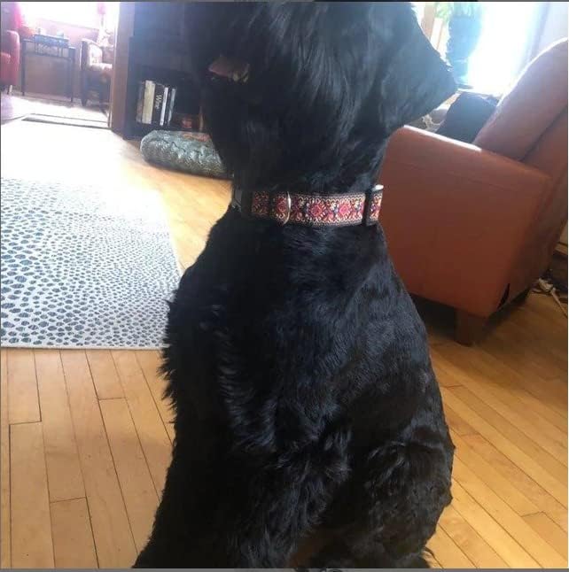 Dog Collars for Small Medium & Large Dogs Puppy Quick Release Buckle, Long Lasting, Adjustable, Strong Durable, Choose from Stunning Patterns and Colors. Red Woven Collar