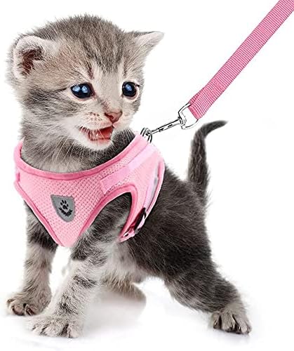 FEimaX Dog Harness and Leash Set for Walking, Soft Mesh Adjustable Easy Control Lightweight Cat Vest Harnesses with Reflective Strips, Escape Proof Small Dogs Cats Vests (Pink, Medium)