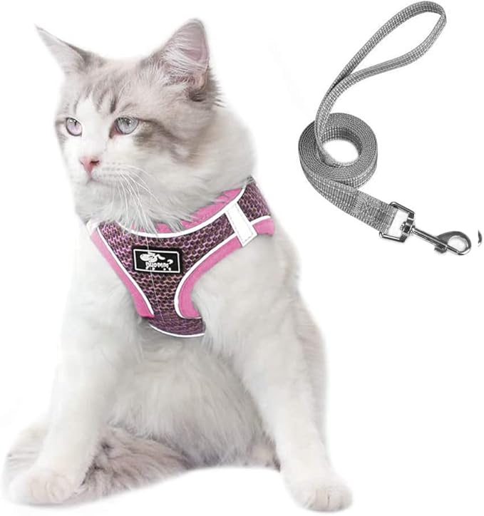 Dog and Cat Universal Harness with Leash - Cat Harness Escape Proof - Adjustable Reflective Step in Dog Harness for Small Dogs Medium Dogs - Soft Mesh Comfort Fit No Pull No Choke, Pink, L