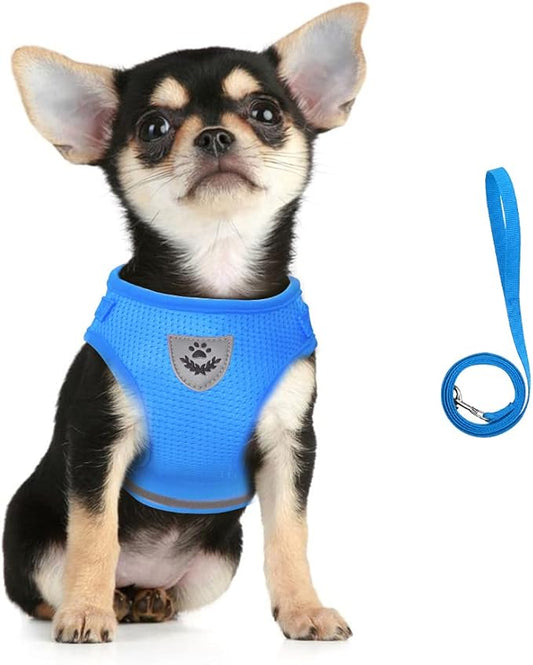 FEimaX Dog Harness and Leash Set for Walking, Soft Mesh Adjustable Easy Control Lightweight Cat Vest Harnesses with Reflective Strips, Escape Proof Small Dogs Cats Vests (Azure, X-Small)