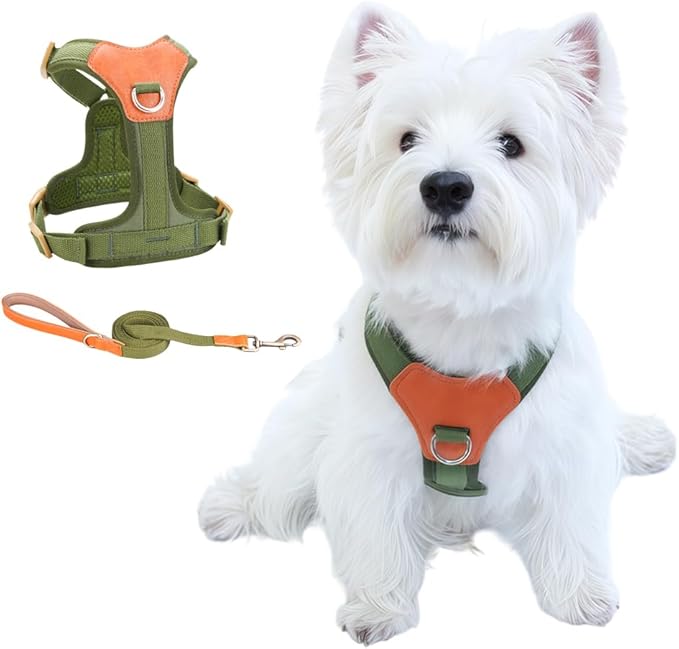 No-Pull No-Choke Dog Harness and Leash Set - Adjustable Soft Padded Vest, Lightweight Retro Design for Small Medium Dogs and Puppies, Easy Control and Comfortable Walk (Green, L)