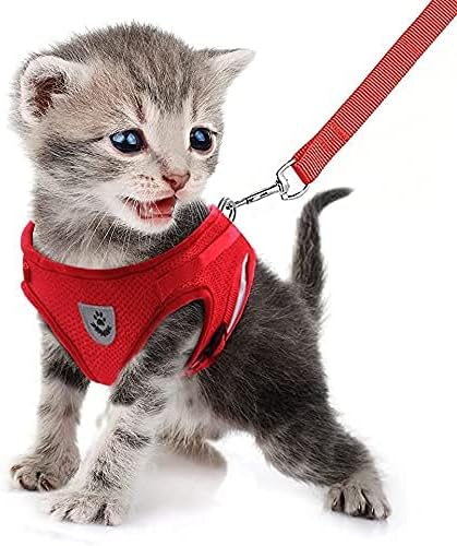 FEimaX Dog Harness and Leash Set for Walking, Soft Mesh Adjustable Easy Control Lightweight Cat Vest Harnesses with Reflective Strips, Escape Proof Small Dogs Cats Vests (Red, Small)