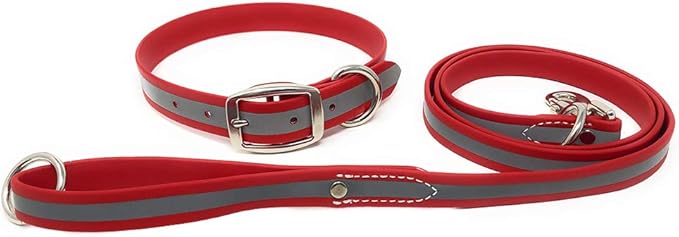 Regal Dog Products Large Red Reflective Dog Collar and Leash Set - Waterproof Biothane Dog Collar with Heavy Duty Double Buckle, D Ring & 5ft Leash - Other Size for Medium & Large Dog