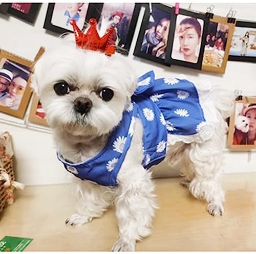 Daisy Floral Dog Harness and Leash Set - Bow Knot Girl Puppy Princess Skirt with D-Ring Mesh Summer Pet Clothes for Cat Dogs (Blue, X-Large)