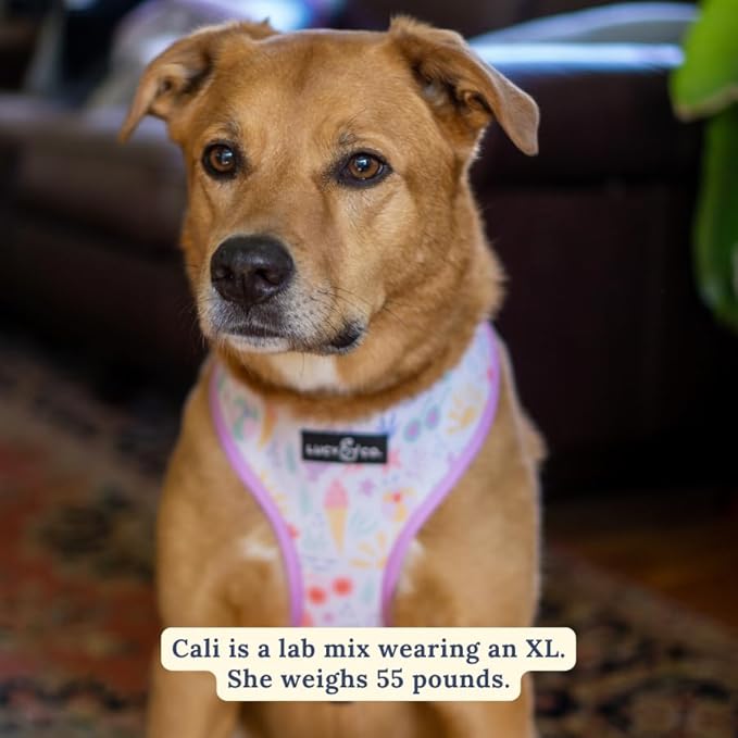 Lucy & Co. Cute Reversible Dog Harness Walking Halter - Best Designer Pet Harnesses for XS - XL Dogs - Padded Adjustable Vest for Easy Walking - X Large -Pastel Seashells