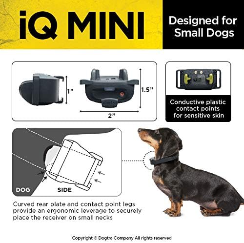 Dogtra IQ Mini Small Dog Remote Training System - 400 Yard Range Collar, Rechargeable Remote Trainer, Waterproof, Static, Vibration Pager Training with PetsTEK Dog Training Clicker