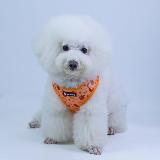 Dog Harness and Leash Set, Adjustable Dog Harness, Dog Leash, No Pull No Choke Puppy Harnesses for Walking Training for Small, Medium, Large Pet