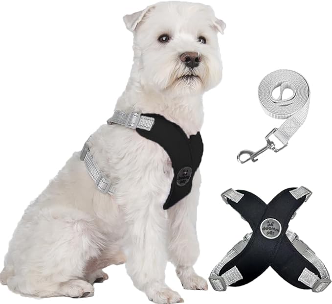 FEimaX Dog Harness Pet X Frame No Pull Step-in Harnesses with Leash Set, Adjustable Reflective Choke Free Puppy with Padded Vest for Small, Medium Dogs and Cats Walking Training