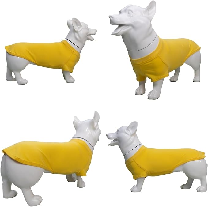 Lovelonglong 2019 Pet Clothing Dog Costumes Dachshund Clothes Blank T-Shirt Tee Shirts for Dachshund Dogs,Corgi 100% Cotton Yellow D-XL
