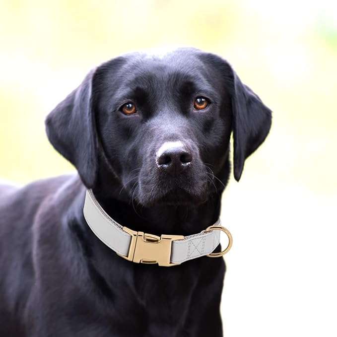 PET ARTIST Soft Leather Dog Collar for Large Dogs, Bright & Classic Nylon Padded Heavy Duty Dog Collar Leather with Quick Release Metal Buckle Adjustable for Male Dogs, Neck Fit 16-27"