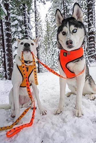 EcoBark Dog Leash - Soft & Reflective Dog Leashes with Padded Handle - Strong Durable Heavy Duty - Training and Pulling for Small, Medium or Large Dogs (Orange Dog Leash)