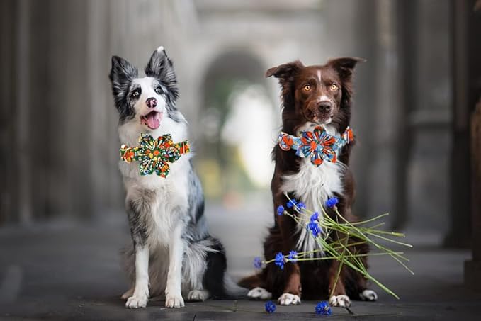 Lionheart Glory Dog Collar, Dog Collar with Flower, Cute Floral Pattern Pet Collar Adjustable Dog Collar for Large Dogs