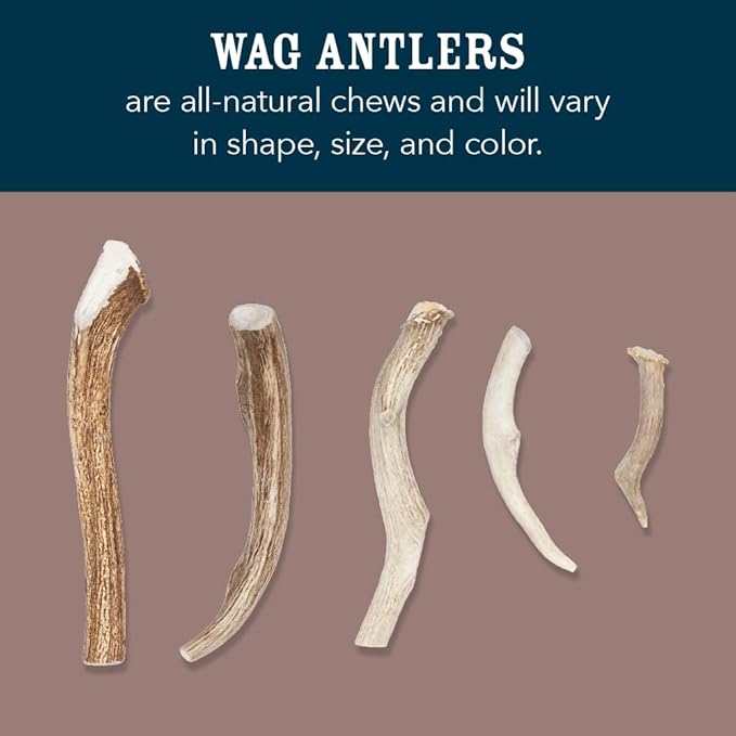 Amazon Brand - Wag Dog Elk Antler Chew, Naturally Shed, Whole, Large 8-9.5 inches, Long Lasting for Aggressive Chewers, Best for Dogs 30-45 lbs, 3.60 Ounce (Pack of 1)