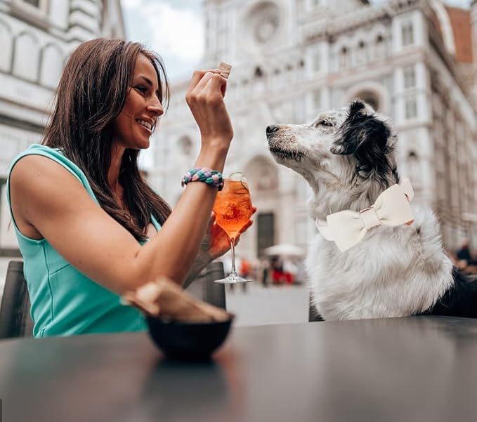 DOGWONG Cotton Dog Collar with Bow, White Pet Collar Wedding Dog Collar Durable Adjustable Dog Collar for Small Medium Large Dogs