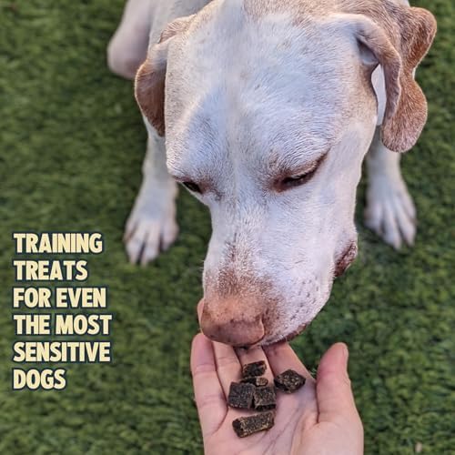 Jiminy's Chewy Cricket Training Treats for Dogs, Low Calorie, Hypoallergenic, Made in USA, 6oz, Pumpkin & Carrot (Pack of 1)