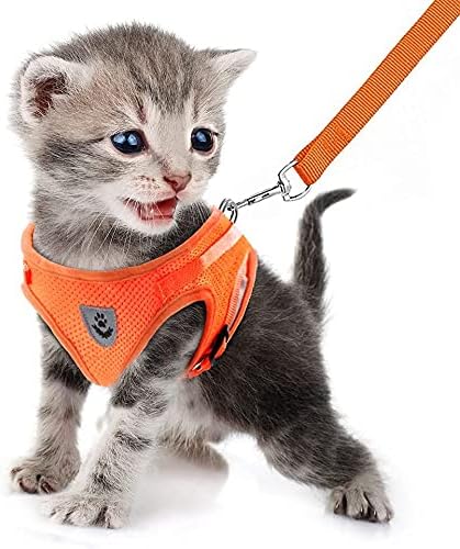 FEimaX Dog Harness and Leash Set for Walking, Soft Mesh Adjustable Easy Control Lightweight Cat Vest Harnesses with Reflective Strips, Escape Proof Small Dogs Cats Vests