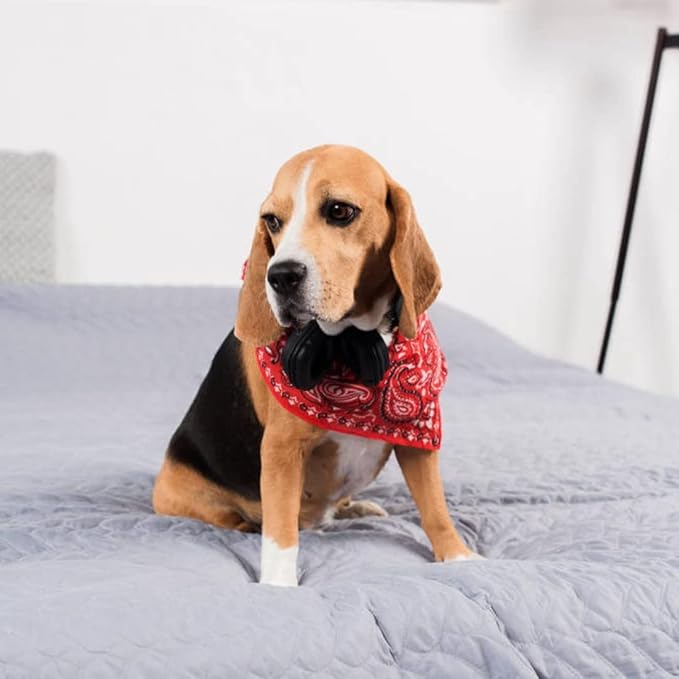 5 Pack Mechaly Dog Bandana Neck Scarf Paisley Cotton Bandanas - Any Pets (Black)