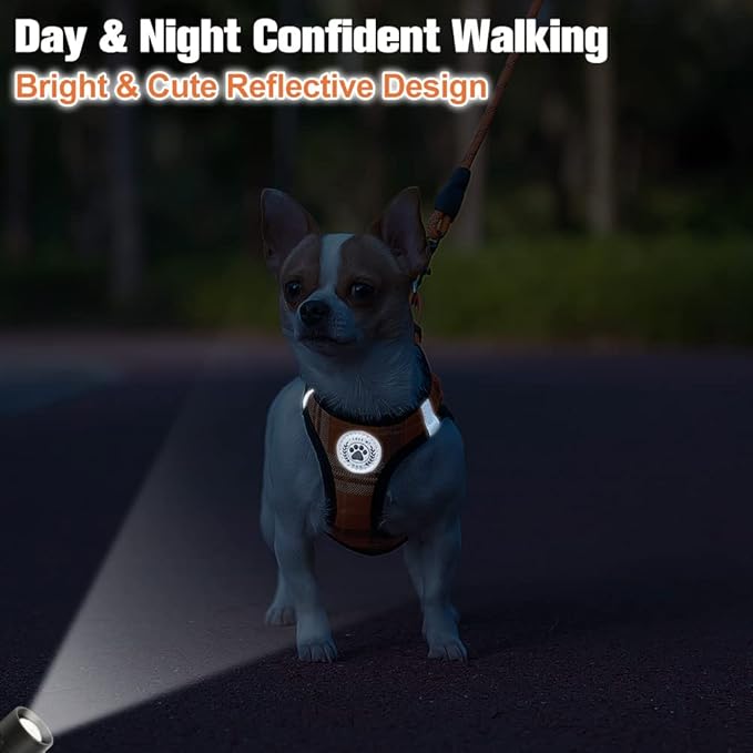 BEAUTYZOO Small Dog Harness and Leash Set,Step in No Choke No Pull Soft Mesh Dog Harnesses Reflective for Extra-Small Medium Puppy Dogs and Cats, Plaid Dog Vest Harness for XS S Pets, Orange XS