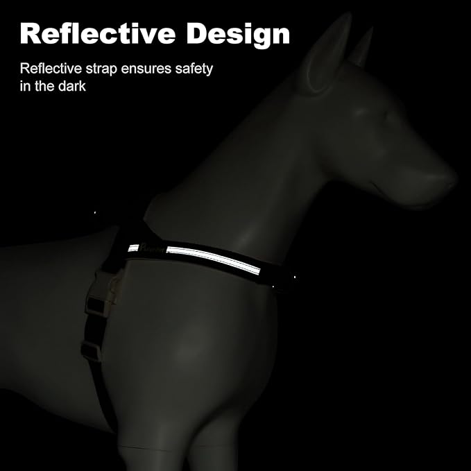 Plutus Pet Cotton Dog Harness and Leash Set, Reflective and Soft Padded, Quick Fit Vest Harness, for Small, Medium and Large Dogs, Orange, L