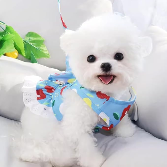 Daisy Floral Dog Harness and Leash Set - Bow Knot Girl Puppy Princess Skirt with D-Ring Mesh Summer Pet Clothes for Cat Dogs (Light Blue, X-Large)