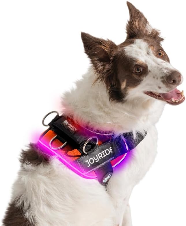 Joyride Harness LED Light Up Dog Harness 2.0 - Patent Pending Design, 3 LED Modes, Vibrant Rechargeable Lighting, Customizable Name Tag Area, and Convenient On/Off Button for Enhanced Pet Safety