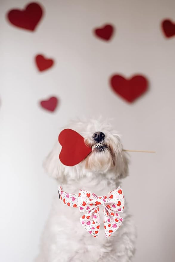 Lionet Paws Valentine's Day Dog Collar with Bowtie, Dog Sailor Bow Collar with Metal Buckle for Dogs and Cats, Adjustable Comfortable Dog Collar Girl Gift, S, Neck 10-16 in