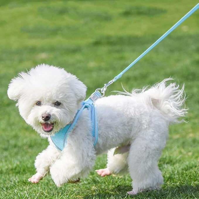 AIITLE Step in Dog Harness and Leash Set - Spring No Pull Escape Proof Vest Harnesses with Soft Mesh and Reflective Bands, Adjustable Pet Outdoor Harnesses for Small and Medium Dogs Pure Blue M