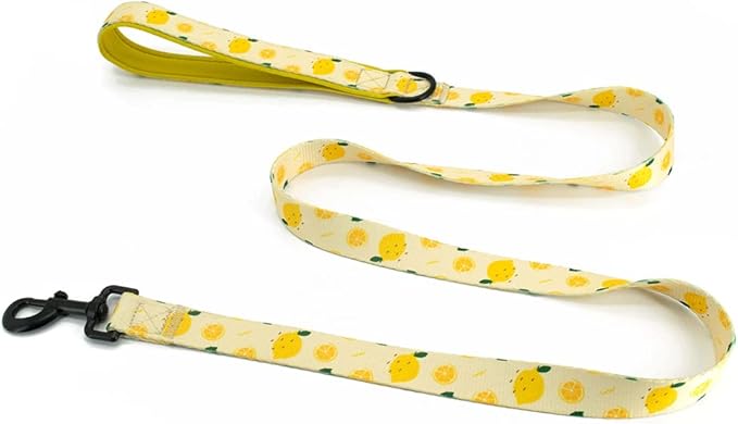 Dog Harness and Leash Set, Adjustable Dog Harness, Dog Leash, No Pull No Choke Puppy Harnesses for Walking Training for Small, Medium, Large Pet