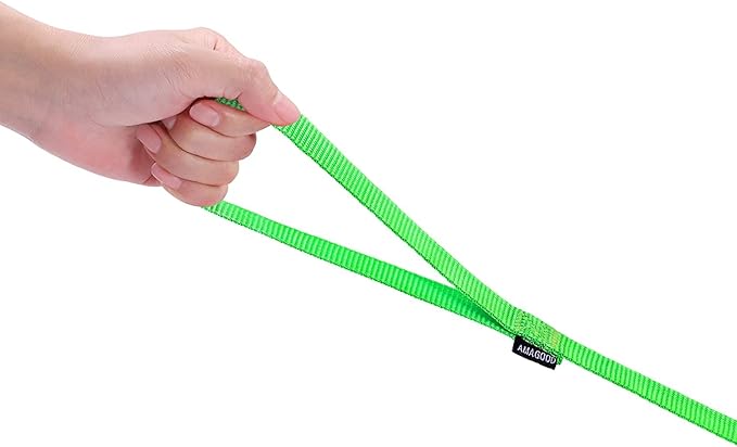 AMAGOOD 6 FT Puppy/Dog Leash, Strong and Durable Traditional Style Leash with Easy to Use Collar Hook,Dog Lead Great for Small and Medium and Large Dog (3/4 in x 6 ft(Pack of 1), Green)