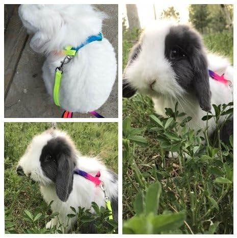 Hypeety Rabbit Harness Lead Leash Soft Nylon, Adorable Colorful Rainbow Adjustable Harness Collar, Outdoor Walking Buckle Leash