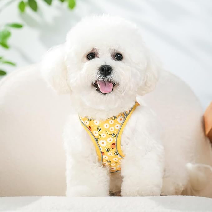 Step in Dog Harness and Leash Set, Flower Adjustable Easy Walk Puppy Harnesses, Soft Mesh Pet Vest Harness Small Size Adjustable No Pull Dog Harness for Small Dogs and Cats(Bee, XXS)