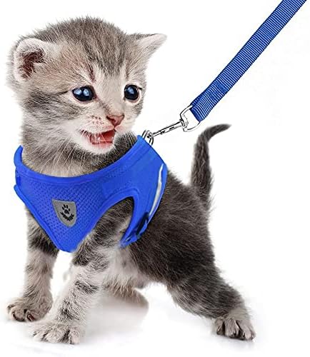 FEimaX Dog Harness and Leash Set for Walking, Soft Mesh Adjustable Easy Control Lightweight Cat Vest Harnesses with Reflective Strips, Escape Proof Small Dogs Cats Vests (Blue, Medium)