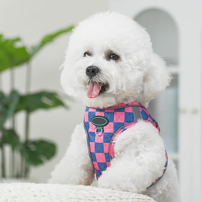 Step in Dog Harness and Leash Set, Plaid Adjustable Easy Walk Puppy Harnesses, Soft Mesh Pet Vest Harness Small Size Dog Adjustable No Pull Dog Harness for Small Medium Dogs(Blue Pink, XXS)