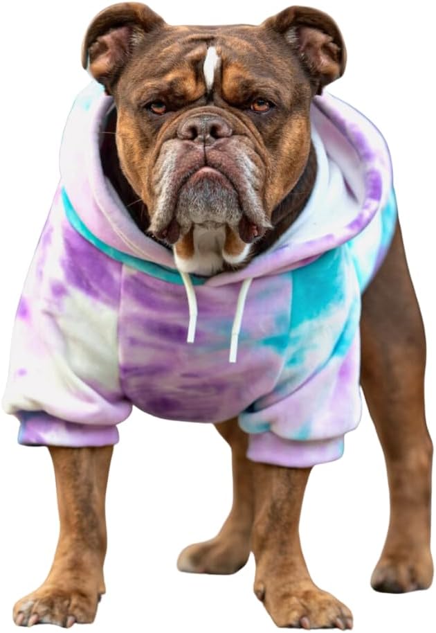 Spark Paws Dog Hoodie - Premium Quality, Buttery Soft, Superior Comfort and Fit, Calming Fleece Interior, Suitable for All Breeds - 90s Retro Sky Dye - 2XL