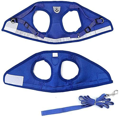 FEimaX Dog Harness and Leash Set for Walking, Soft Mesh Adjustable Easy Control Lightweight Cat Vest Harnesses with Reflective Strips, Escape Proof Small Dogs Cats Vests (Blue, Small)