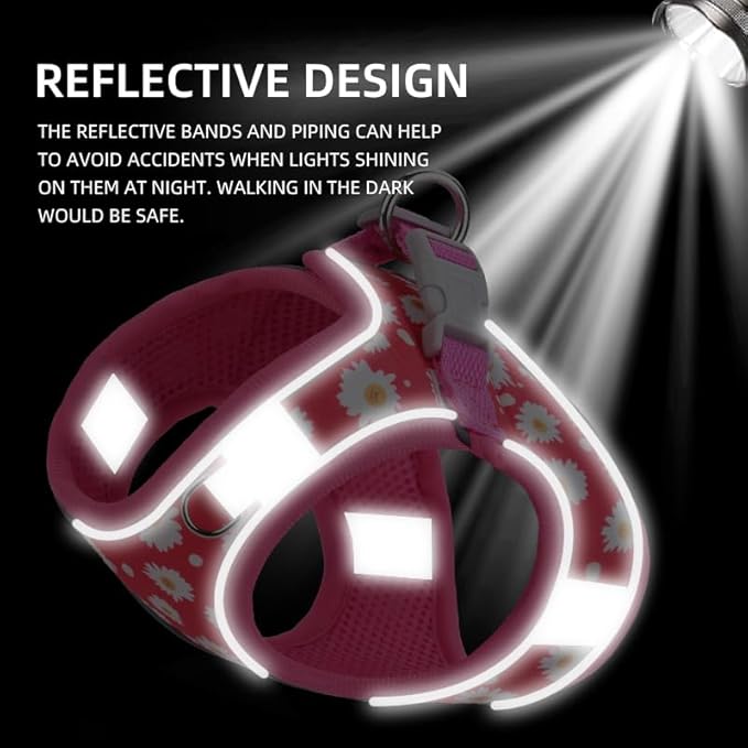 Step in Dog Harness and Leash Set, Flower Adjustable Easy Walk Puppy Harnesses, Soft Mesh Pet Vest Harness Small Size Adjustable No Pull Dog Harness for Small Dogs and Cats(Dinosaur1, XXS)