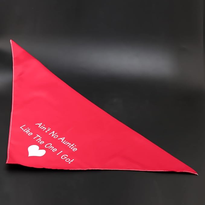 PXTIDY Ain't No Auntie Like The One I Got Dog Bandana Dog Aunt Reversible Triangle Bibs Pet Scarf Pet Bandanas for Dogs (Ain't No Auntie)