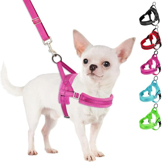 SlowTon No Pull Small Dog Harness and Leash Set, Puppy Soft Vest Harness Neck & Chest Adjustable, Reflective Lightweight Harness & Anti-Twist Pet Lead Combo for Small Medium Dogs (Fuchsia, S)