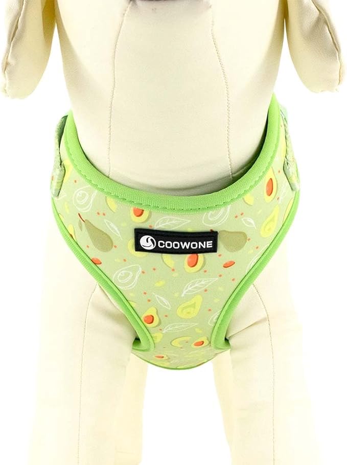 Dog Harness and Leash Set, Adjustable Dog Harness, Dog Leash, No Pull No Choke Puppy Harnesses for Walking Training for Small, Medium, Large Pet