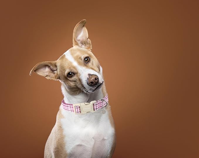 DOGWONG Cotton Dog Collar - Soft Natural Fabric Spring Summer Wedding Puppy Necklace for Small Medium Large Dogs