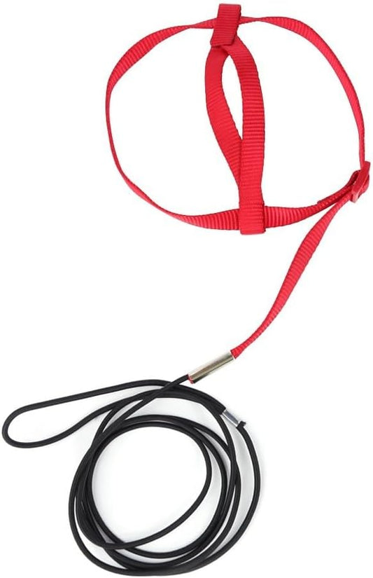 Parrot Harness Leash, Anti Bite Bird Training Leash Adjustable Parrot Flying Rope for Parrot Budgerigar Lovebird Cockatiel
