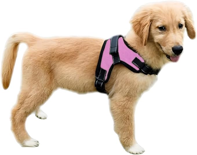 No Pull Reflective Adjustable Dog Harness with Handle- Comfortable Soft All Weather Mesh, Easy On Puppy Harness for Small Medium and Large Dogs (Pink) XX-Small