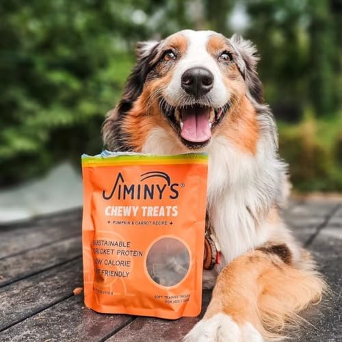 Jiminy's Chewy Cricket Training Treats for Dogs, Low Calorie, Hypoallergenic, Made in USA, 6oz, Pumpkin & Carrot (Pack of 1)