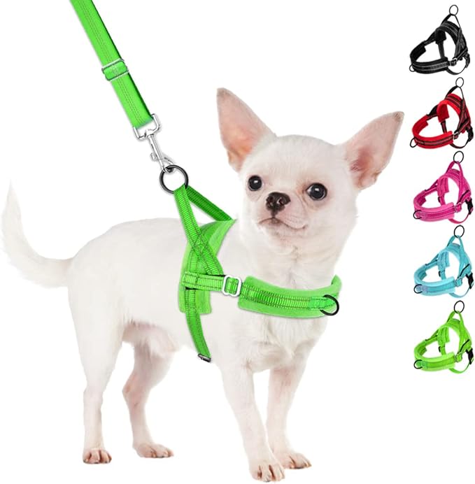 SlowTon No Pull Small Dog Harness and Leash Set, Puppy Soft Vest Harness Neck & Chest Adjustable, Reflective Lightweight & Anti-Twist Pet Lead Combo for Small Medium Dogs (G- Front Clip,S)