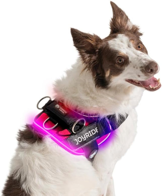 Joyride Harness LED Light Up Dog Harness 2.0 - Patent Pending Design, 3 LED Modes, Vibrant Rechargeable Lighting, Customizable Name Tag Area, and Convenient On/Off Button for Enhanced Pet Safety
